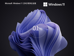 【纯净】Windows11 23H2 企业纯净版