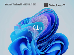 【办公专用】Windows11 24H2 X64 专业办公版
