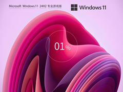 【游戏专用】Windows11 24H2 X64 游戏优化版