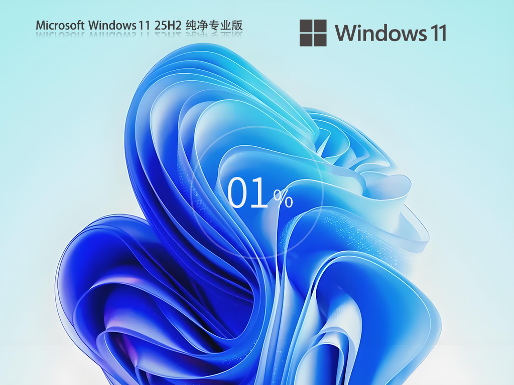 【干净不带软件】Windows11 25H2 纯净专业版