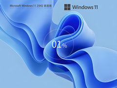 【装机精品】Windows11 25H2 X64 家庭中文版