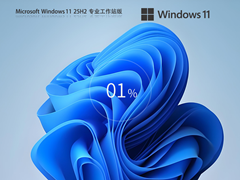 【高性能系统】Windows11 25H2 X64 专业工作站版