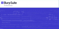 BurpSuite Professional(渗透测试软件) V2022.2.1 中文免费版