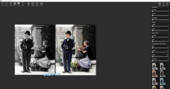 Picture Colorizer Pro(黑白照片上色) V3.1.0 免费版