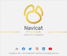 Navicat Premium16 V16.0.11 永久激活新浦京城娱乐