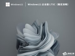 Win11企业版系统是哪个？Win11企业版详细介绍