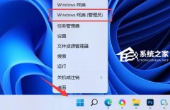 Win11怎么安装微软商店-Microsoft Store的安装方法